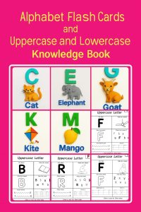 Alphabet Flash Cards Upper and Lower Case Knowledge Book